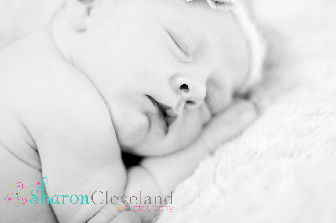 Professional Newborn Photography | Fort Worth Newborn Photographer
