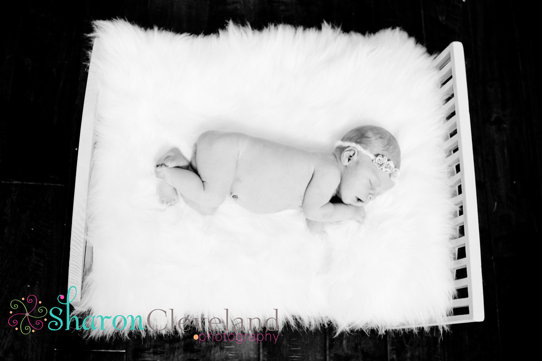 Newborn Photography, bed, photo prop, fort worth texas photography