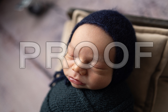 Newborn_Portraits-7
