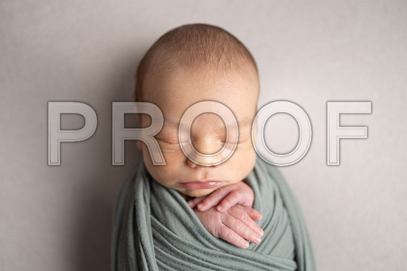 Newborn_Portraits-10