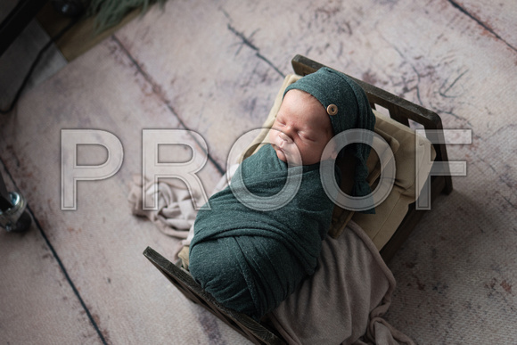 Newborn_Portraits-19