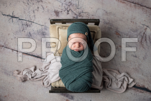 Newborn_Portraits-20