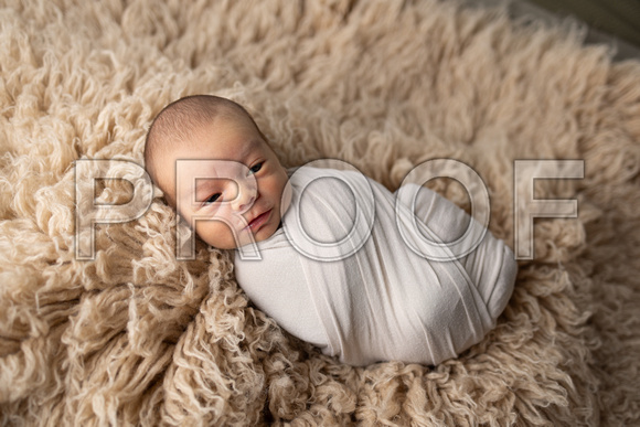 Newborn_Portraits-2