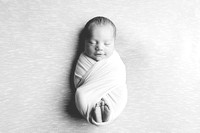 Newborn_Portraits-7-2