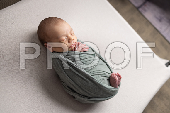 Newborn_Portraits-11