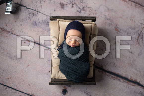 Newborn_Portraits-6